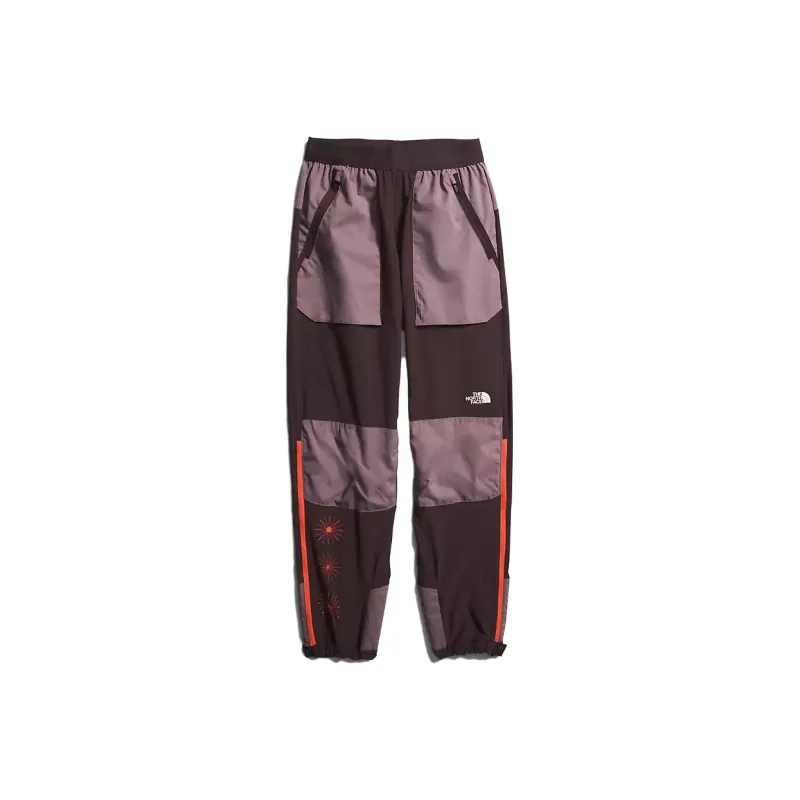 THE NORTH FACE Спортивные брюки Женские Угольный коричневый