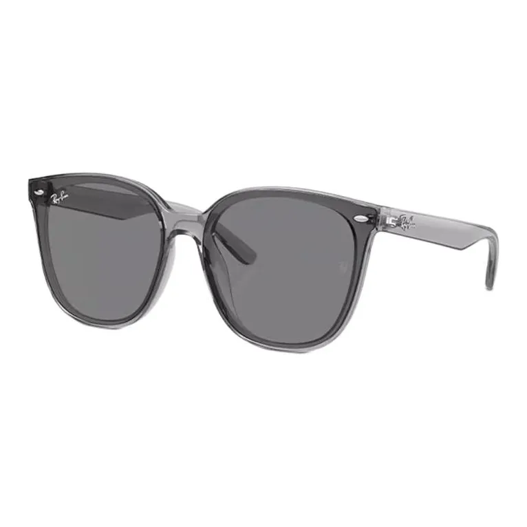 RayBan OVAL SUNGLASSES Унисекс Серый