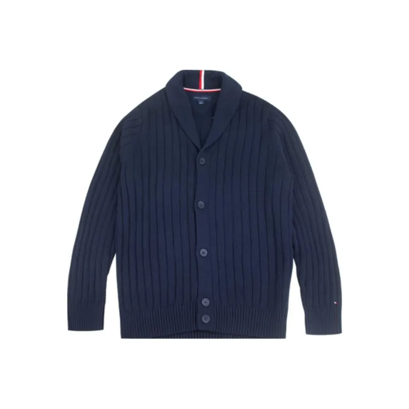 Tommy Hilfiger Трикотаж Мужской Темно-синий